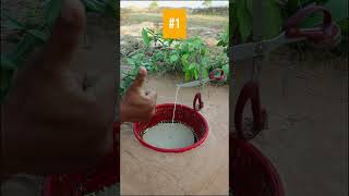 3 Creative Bird Trap Ideas 🐦 [upl. by Allimac]