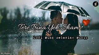 Tere Bina Yeh Sham  Lofi Mind Relax Song  Mind Fresh Song 2024 [upl. by Names]