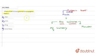 Which of the following do not have myogenic heart [upl. by Maidel821]