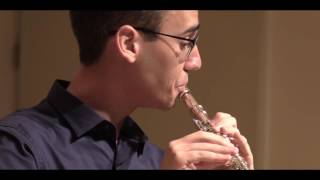 F Schubert  Ständchen Serenade for Flute and Piano HD [upl. by Nirag]