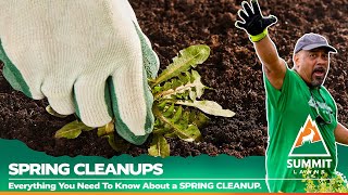 Spring Cleanup  Summit Lawns Service Description [upl. by Annahsed392]