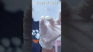 How to prepare a veterinary urine sediment sample veterinary clinicalskills vetacademy shorts [upl. by Rehctaht203]