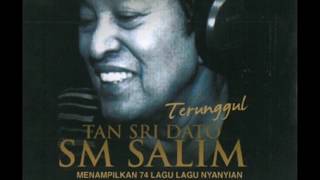 SM Salim  Pantun Budi Official Audio Video [upl. by Suzzy359]