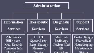 Hospital Organizational Structure [upl. by Anasor]