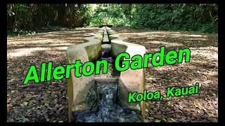 Allerton Garden tour Kauai [upl. by Ahseinod]