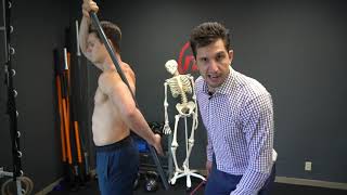 Dynamic Stretches Rotator Cuff WarmUp MoveU [upl. by Estell]