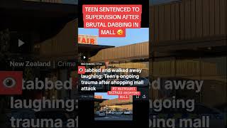 THE BAYFARE MALL STABBING  TEEN SENTENCED TO SUPERVISION nz news [upl. by Jordison]