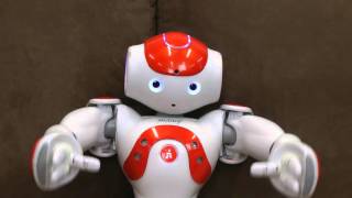 Humanoidly Speaking  Learning about the world and language with a humanoid friendly robot [upl. by Yrram]