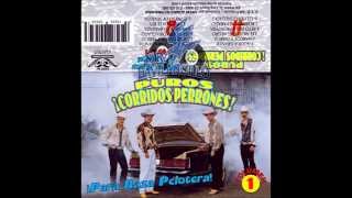 Puros Corridos Perrones Vol1 [upl. by Jeana]