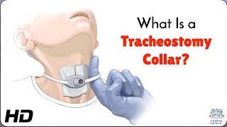 Tracheostomy Collar Care Tips for Comfort and Safety [upl. by Suruat]