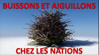 Buissons et aiguillons chez les nations 12 [upl. by Doran]