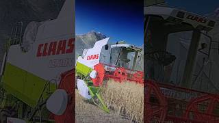 Diese wunderschöne Aussicht Landwirtschaft Unterhaltung LS22 Claas Lexion Mähdrescher [upl. by Egdamlat]