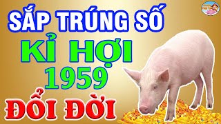 Tuổi KỈ HỢI 1959 Lén Làm Điều Này Bất Ngờ Nhận Lộc Trời Ban Giàu Như Vũ Bão  PQPT [upl. by Mokas261]