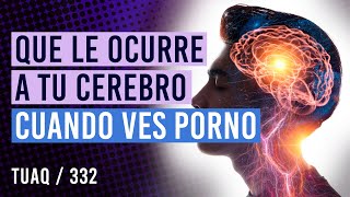 ¿Qué sucede realmente en tu cerebro cuando ves nopor [upl. by Rhodes34]