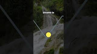 444 Breathing for Stress Triangle Breathing breathingforanxiety breathe breathingexercise [upl. by Aniz]