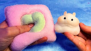 ASMR Softest Squishies in the World Most Unique Texture EVER [upl. by Snow650]