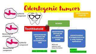 Odontogenic tumors  Overview  Classification [upl. by Aldous]