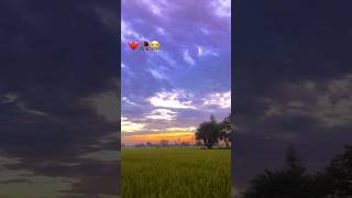 varinder brar song shortmusic shortfeed shorts [upl. by Eirrahs630]