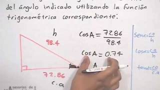 Funciones trigonométricas│ejercicio 2 [upl. by Annuahs745]