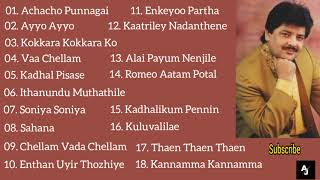 Udit Narayan Tamil Hits  All Time Favourite  Udit Narayan Tamil Songs Collection  Audio Jukebox [upl. by Lluj512]