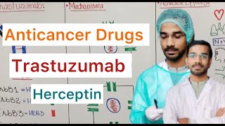 Trastuzumab Herceptin  Anticancer Drugs [upl. by Leopoldeen]