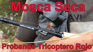 Iniciación a la pesca con Mosca Seca probando Tricóptero Rojo casero Espectacular [upl. by Leibrag]