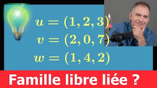 famille de vecteur dans R3 ♦ libre liée  Exercice facile pour comprendre la méthode ♦ MPSI ECS [upl. by Adolf401]