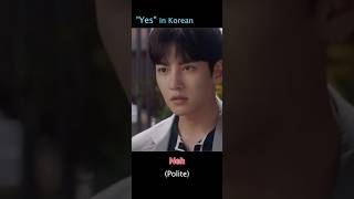 How to Say quotYesquot in Korean Casual vs Polite kdrama koreandrama [upl. by Nylacaj]