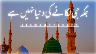 Jaga ji lagane ki dunya Nahi hai  slowed reverb  Emotional Naat ðŸ˜¢ naat viralvideo kalam [upl. by Annagroeg]