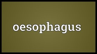 Oesophagus Meaning [upl. by Juliano]