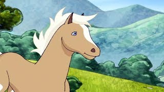 HORSELAND  Episode 17  En liberté  Chevaux  Episode Complet  WildBrain [upl. by Sillad212]