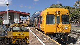 Trains at Greenfields ft the Indian Pacific  Adelaide Metro [upl. by Eenel]