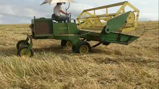 Windrowing oats with the old 800 [upl. by Adnik]