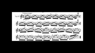 Caprice 24  Paganini  Kreisler [upl. by Irtak]