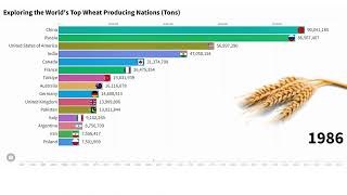 Exploring the Worlds Top Wheat Producing Nations Tons [upl. by Haimes]