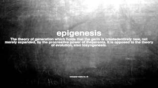 What does epigenesis mean [upl. by Volin304]