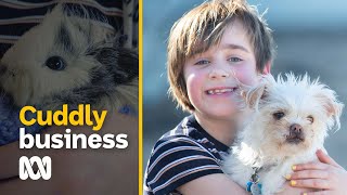 Young entrepreneur starts a pet minding business at the age of eight  ABC Australia [upl. by Ocirderf931]