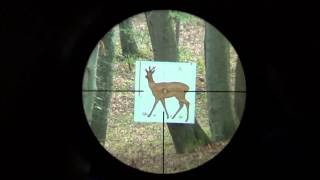 Swarovski Z6i gen2 2515x56 P BT L reticle 4AI subtensions [upl. by Obie]