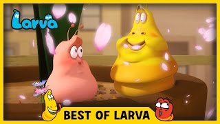 LARVA  BEST OF LARVA  Cartoons  Comics  LARVA 2017 WEEK 14 [upl. by Aehsal]