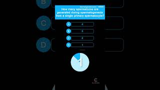 How many spermatozoa are generated during spermatogenesis from a single spermatogonium [upl. by Card920]