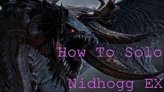 How to solo Nidhogg Extreme PLD [upl. by Tate]