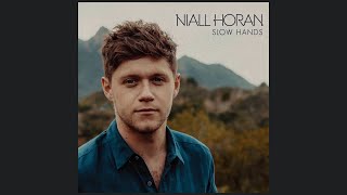 Niall Horan  Slow Hands Official Instrumental [upl. by Benedick]