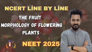 The fruit  morphology of flowering plants in tamil ll NCERT biology  2025neet [upl. by Animaj]