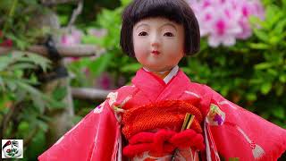 Old Japanese dolls Ichimatsu dollⅣ． [upl. by Pitzer567]