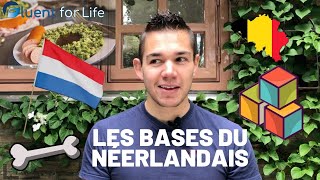 Apprendre le néerlandais  cours de néerlandais facile partie 1 les bases fondamentales [upl. by Corrinne]