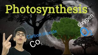 The Secret Relationship Between Photosynthesis and Respiration [upl. by Odnumde]