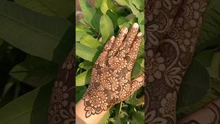 Filler mehndi tutorial simple design falakmehandiacademy ytshortsvideo [upl. by Howzell367]