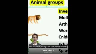 Classifying Animals in 2024 Vertebrates vs Invertebrates  Explained in Detail Generated using AI [upl. by Htez]