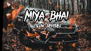 MIYA BHAI slow reverb song [upl. by Acinoev]