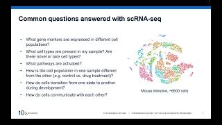 Introduction to ScRNAseq Data Analysis [upl. by Woodley]